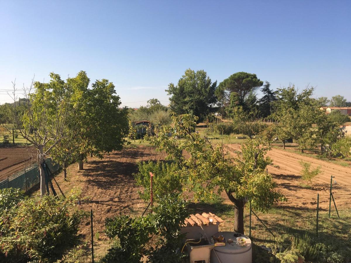 Tuscan Dream Casa Vacanze Pieve a Nievole Exterior photo